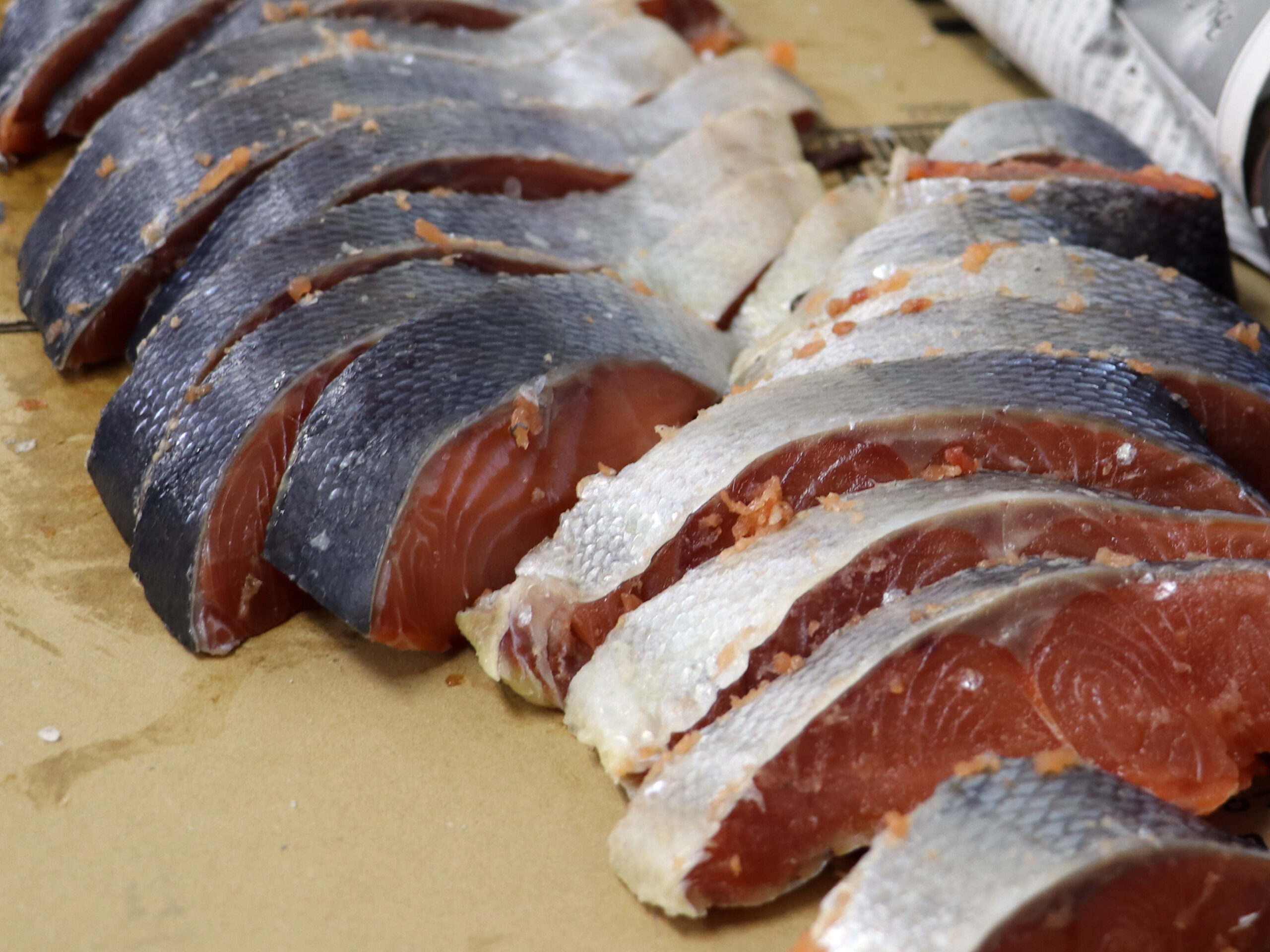 シーズ 釣り部 新巻鮭