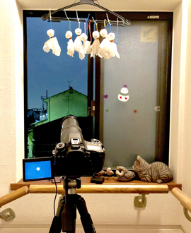 シーズ天体観測部